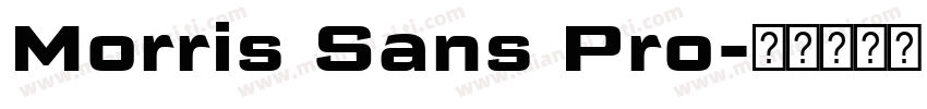 Morris Sans Pro字体转换